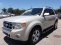 2009 Light Sage Metallic Ford Escape Limited V6  photo #14