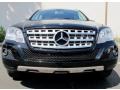 Black - ML 350 4Matic Photo No. 2