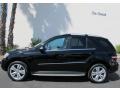 Black - ML 350 4Matic Photo No. 3