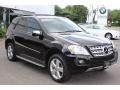 Black - ML 350 4Matic Photo No. 3