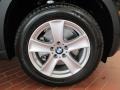 2012 BMW X5 xDrive35d Wheel and Tire Photo