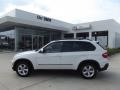 Alpine White - X5 3.0si Photo No. 5