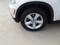 Alpine White - X5 3.0si Photo No. 13