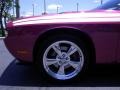 2010 Furious Fuchsia Dodge Challenger R/T Classic Furious Fuchsia Edition  photo #8