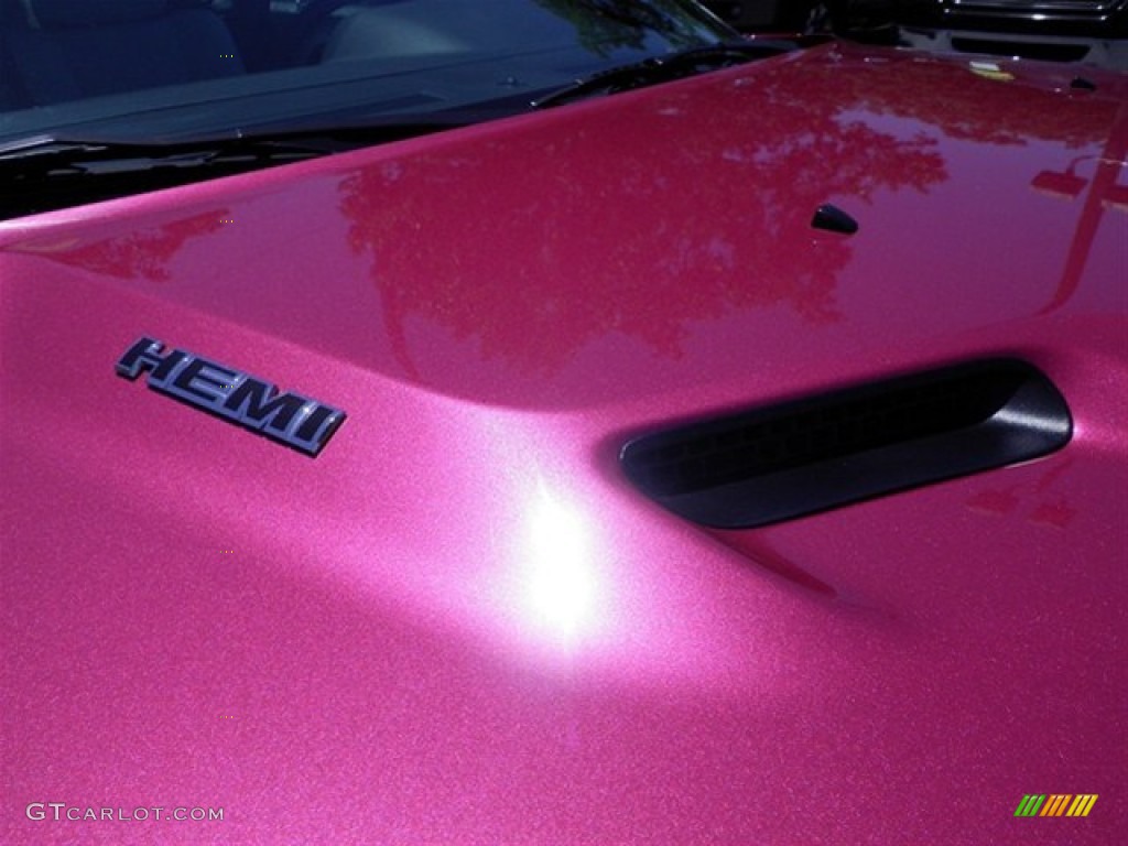 2010 Dodge Challenger R/T Classic Furious Fuchsia Edition Marks and Logos Photo #66640916