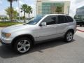 Titanium Silver Metallic - X5 4.4i Photo No. 3