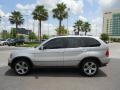 Titanium Silver Metallic - X5 4.4i Photo No. 4