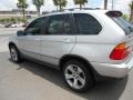 Titanium Silver Metallic - X5 4.4i Photo No. 5