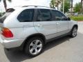 Titanium Silver Metallic - X5 4.4i Photo No. 7
