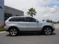 Titanium Silver Metallic - X5 4.4i Photo No. 8