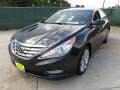 2011 Pacific Blue Pearl Hyundai Sonata SE  photo #7