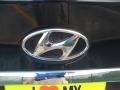 2011 Pacific Blue Pearl Hyundai Sonata SE  photo #17