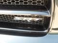 Brilliant Black Crystal Pearl - Charger SRT-8 Photo No. 10