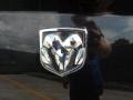 2008 Brilliant Black Crystal Pearl Dodge Charger SRT-8  photo #22