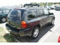Carbon Metallic - Envoy SLE 4x4 Photo No. 2