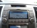 2009 Hyundai Sonata Limited V6 Audio System