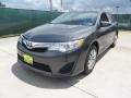 Magnetic Gray Metallic - Camry LE Photo No. 7