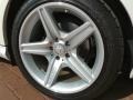 2011 Mercedes-Benz CLS 550 Wheel and Tire Photo