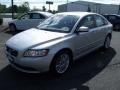 Silver Metallic - S40 T5 Photo No. 48