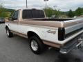 Light Saddle Metallic - F150 XLT Regular Cab 4x4 Photo No. 5