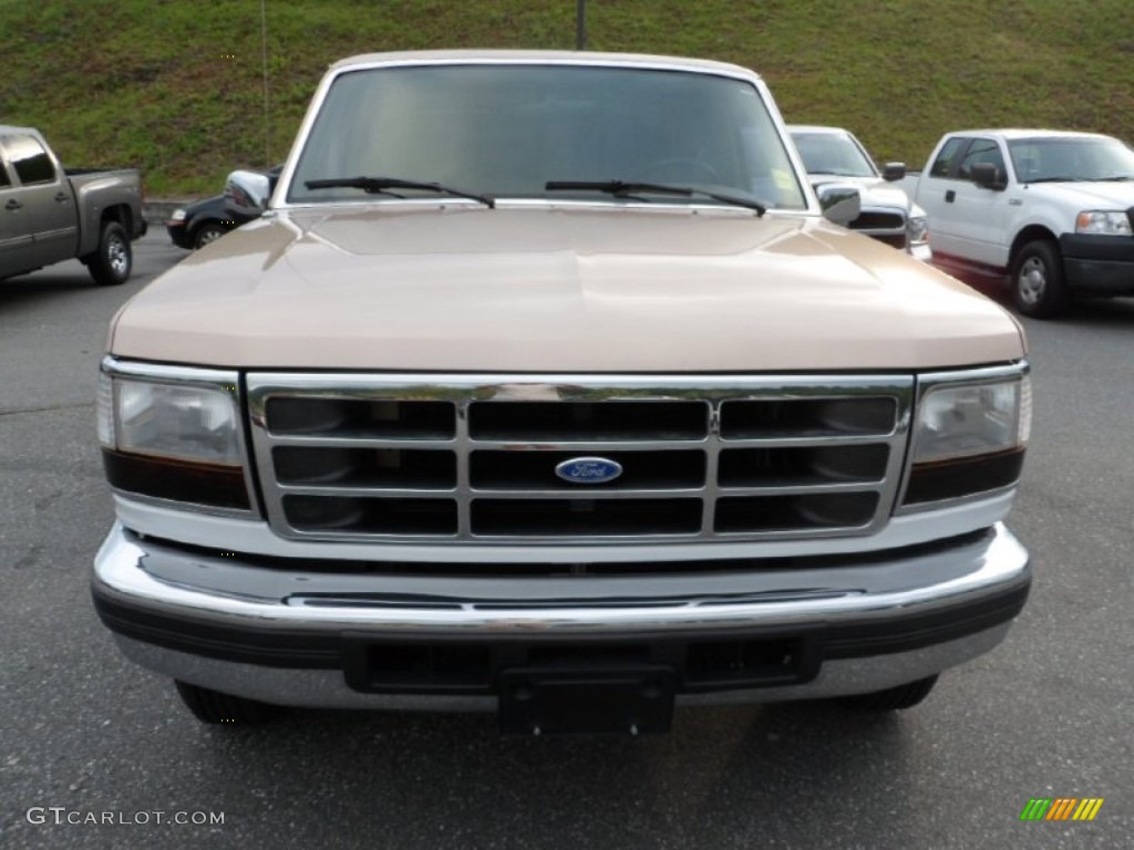 1996 F150 XLT Regular Cab 4x4 - Light Saddle Metallic / Medium Mocha photo #9