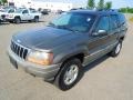 Taupe Frost Metallic 1999 Jeep Grand Cherokee Laredo 4x4