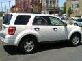 2010 White Suede Ford Escape XLT  photo #24