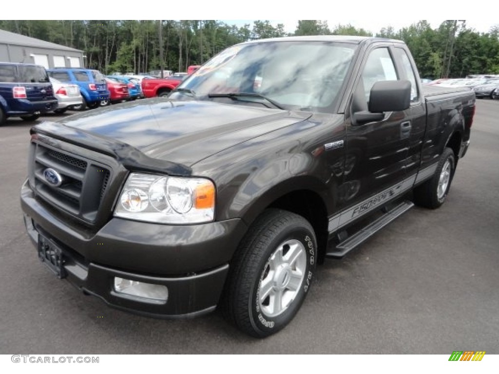 2005 F150 XL Regular Cab - Dark Stone Metallic / Medium Flint Grey photo #1