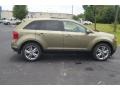 Ginger Ale Metallic 2013 Ford Edge Limited Exterior