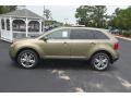  2013 Edge Limited Ginger Ale Metallic