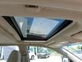 Spruce Mica - Camry XLE Photo No. 11