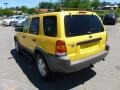 2001 Chrome Yellow Metallic Ford Escape XLT V6 4WD  photo #5