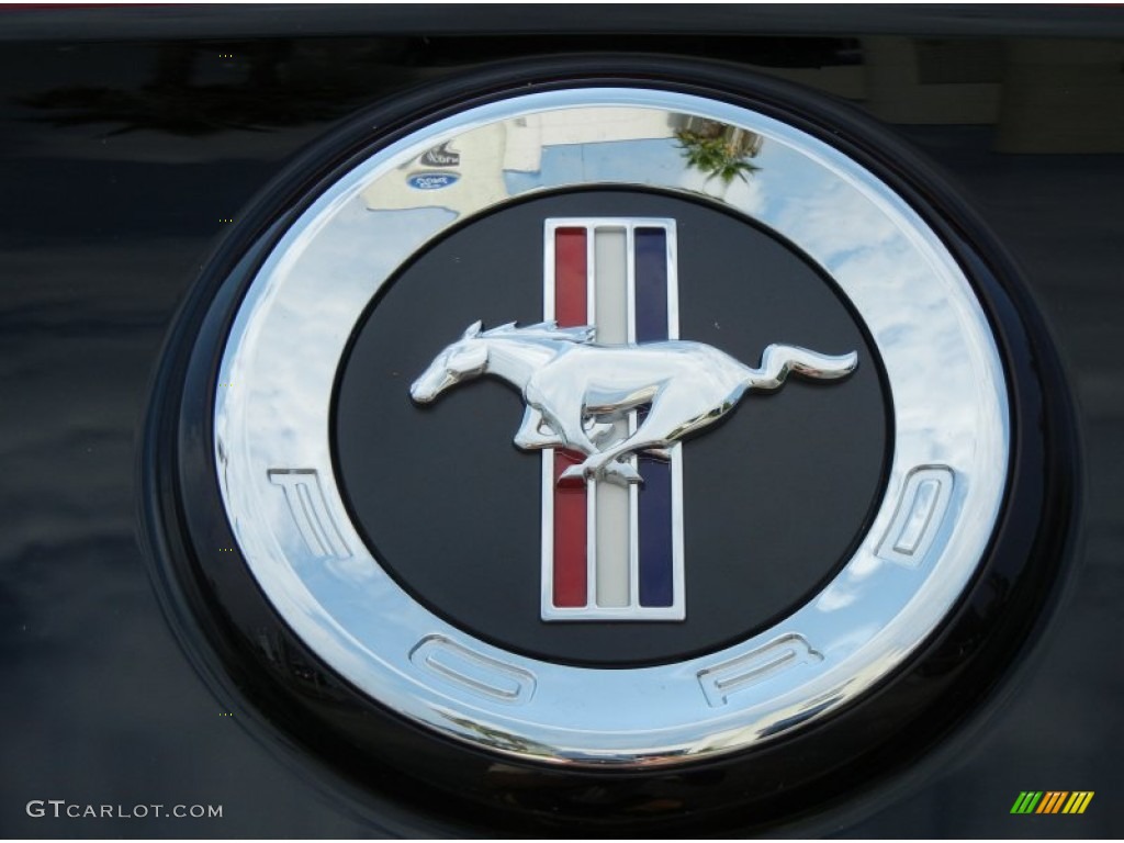 2013 Ford Mustang V6 Coupe Marks and Logos Photo #66683759