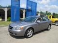 Steel Gray - Sonata SE V6 Photo No. 1