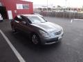 Platinum Graphite - G 37 Sedan Photo No. 7