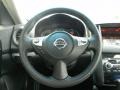 Radiant Silver Metallic - Maxima 3.5 SV Photo No. 14