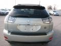 Bamboo Pearl - RX 330 AWD Photo No. 4