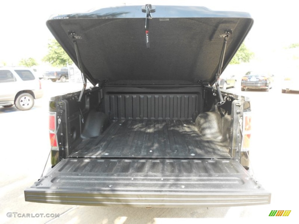 2010 F150 FX2 SuperCrew - Tuxedo Black / Black photo #10