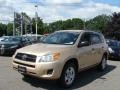 Sandy Beach Metallic - RAV4 4WD Photo No. 3