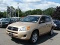 2009 Sandy Beach Metallic Toyota RAV4 4WD  photo #3