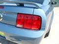2006 Windveil Blue Metallic Ford Mustang V6 Premium Coupe  photo #19