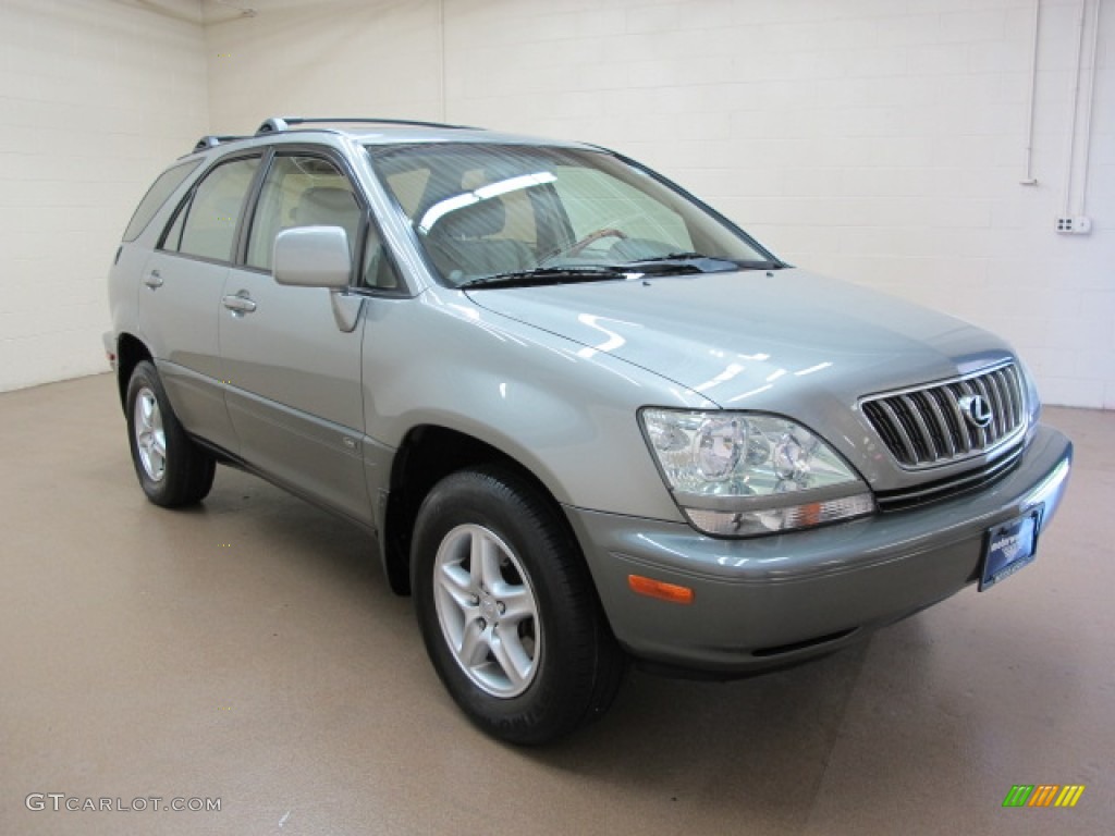 2002 RX 300 AWD - Mineral Green Opalescent / Ivory photo #1