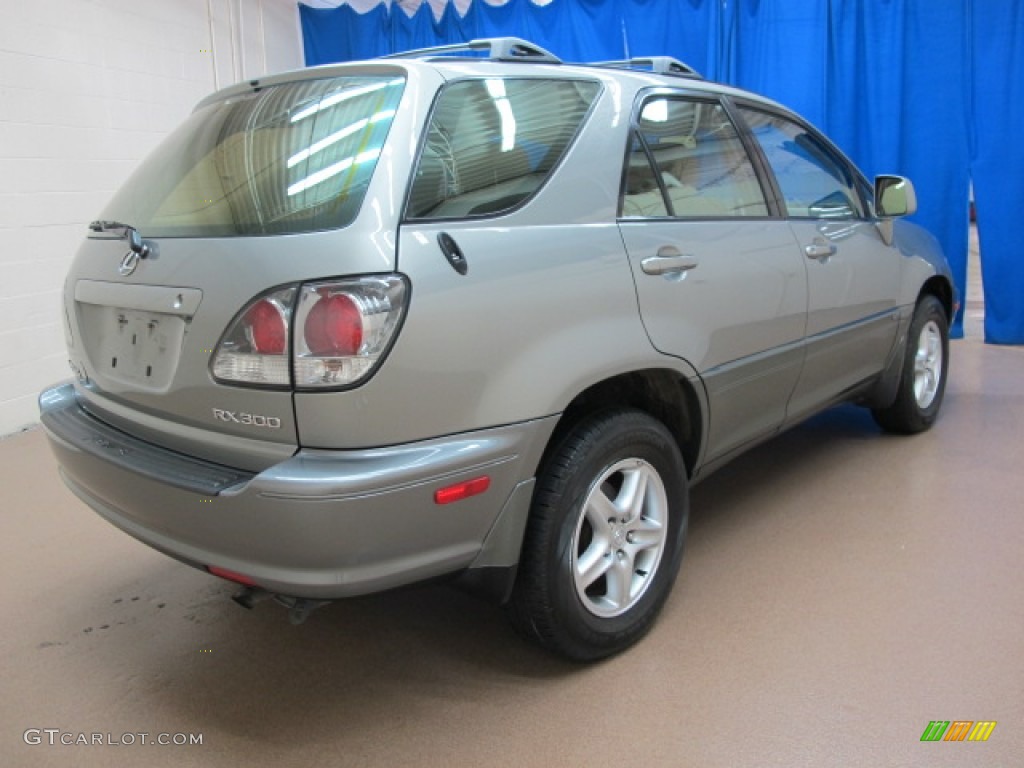 2002 RX 300 AWD - Mineral Green Opalescent / Ivory photo #9