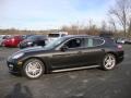 Carbon Grey Metallic - Panamera 4S Photo No. 10