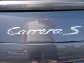 Meteor Grey Metallic - 911 Carrera S Cabriolet Photo No. 24