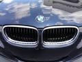 2009 Monaco Blue Metallic BMW 3 Series 328xi Sedan  photo #29