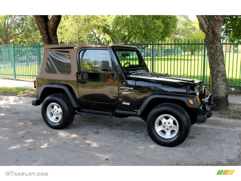 2001 Wrangler Sport 4x4 - Black / Camel photo #4