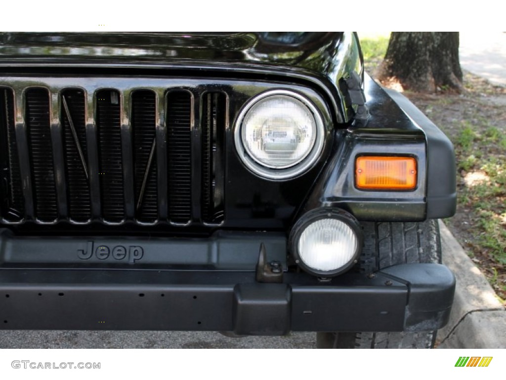 2001 Wrangler Sport 4x4 - Black / Camel photo #18