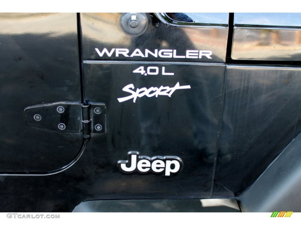 2001 Wrangler Sport 4x4 - Black / Camel photo #64