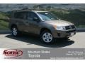 Pyrite Mica - RAV4 I4 4WD Photo No. 1